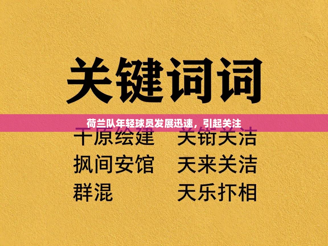 荷兰队年轻球员发展迅速，引起关注  第2张